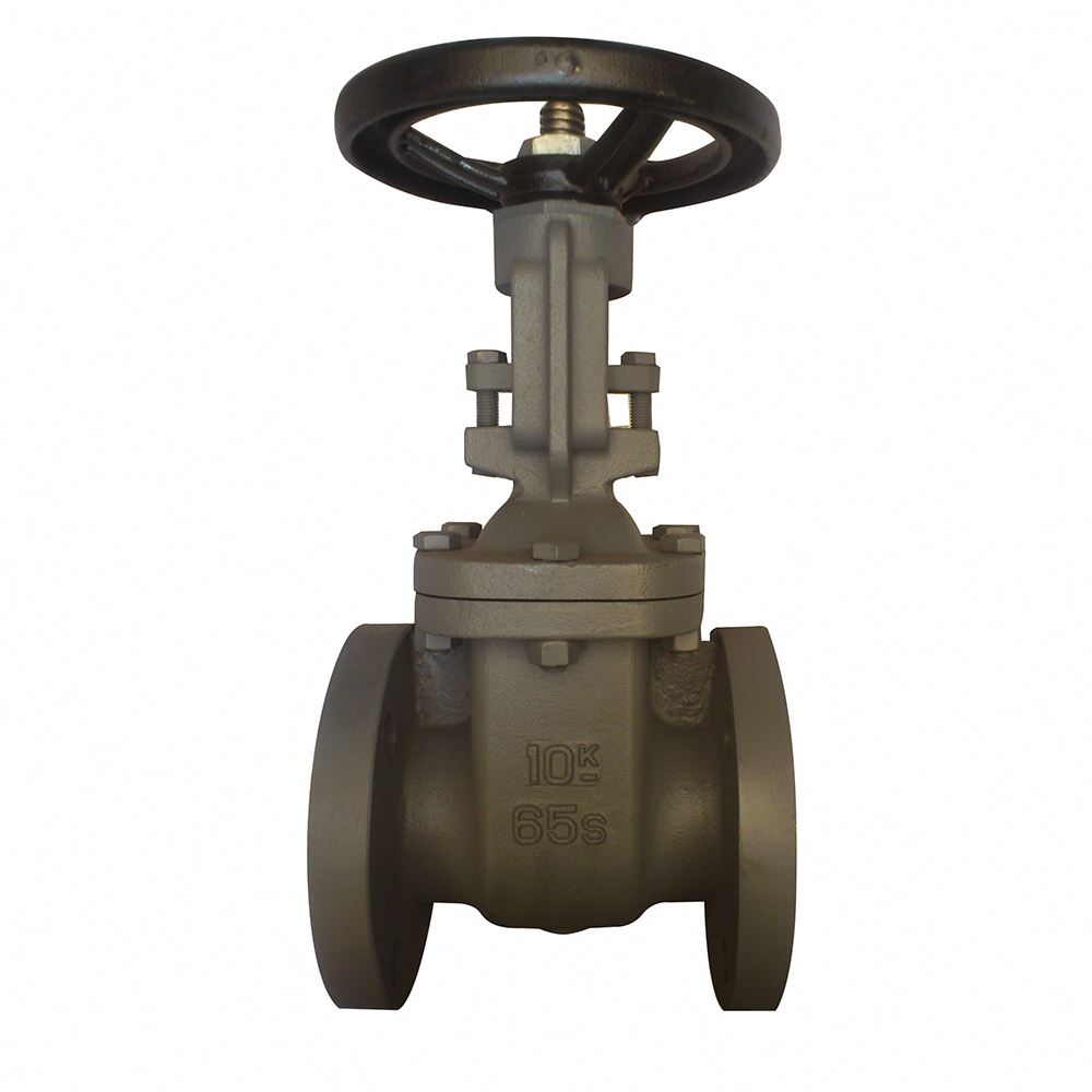supplying PN10 PN16 PN25 safty valve gate valve with price