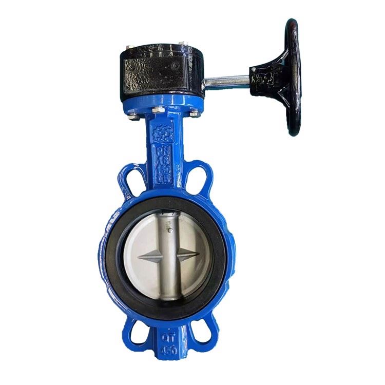 Ductile iron to clamp butterfly valve