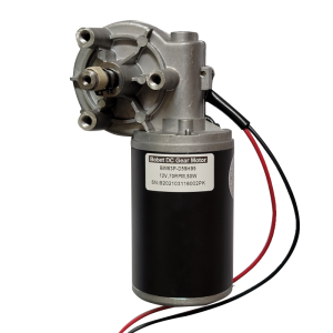 Gear brushed dc motor with rotatable CW or CCW