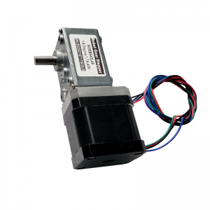 Ordinary Discount China Stepper and Servo Motor with worm gear self lock safe performance