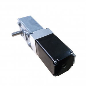 High precision OEM worm gear motor 2 phase 4 wires stepper motor for camera track positioning