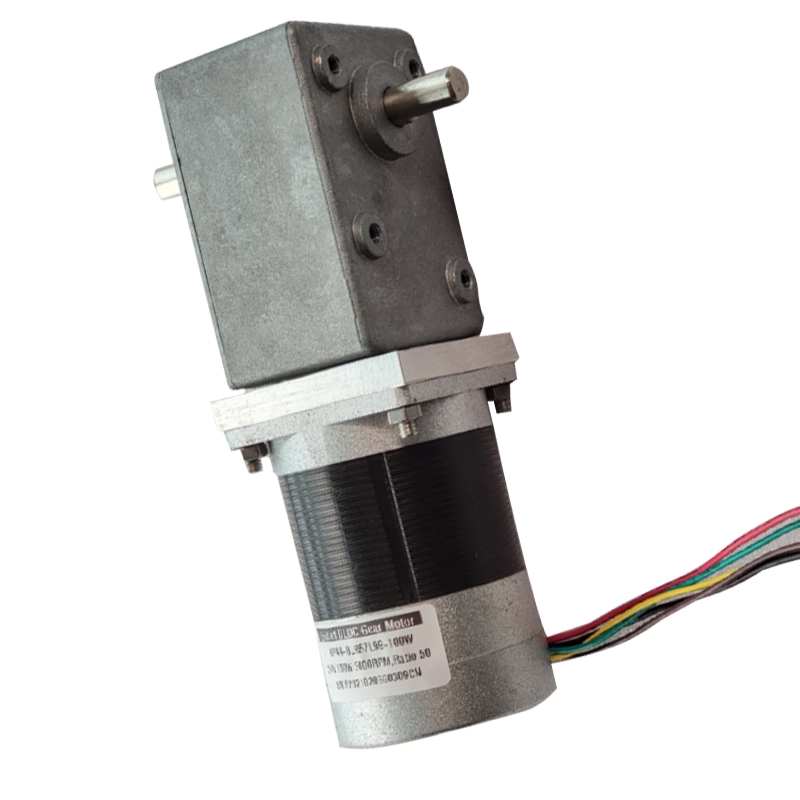 China 500nm Dc Motor –  New model bldc motor worm gear motor with high purchase rate – Bobet