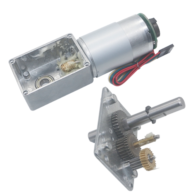 China Right Angle Dc Motor –  D555 Worm gear brushed dc motor with optional encoder  – Bobet