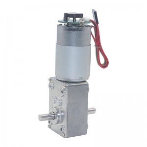 D555 Worm gear brushed dc motor with optional encoder
