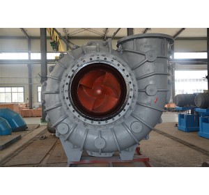 Quality Inspection for Single Pump - Flue Gas Desulfurization Pump – Delin Machinery