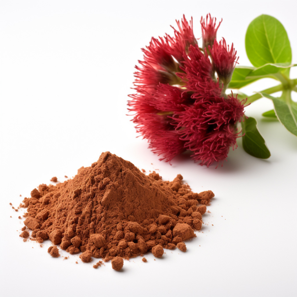 What Are The Uses Of Rhodiola Rosea Extract Powder?