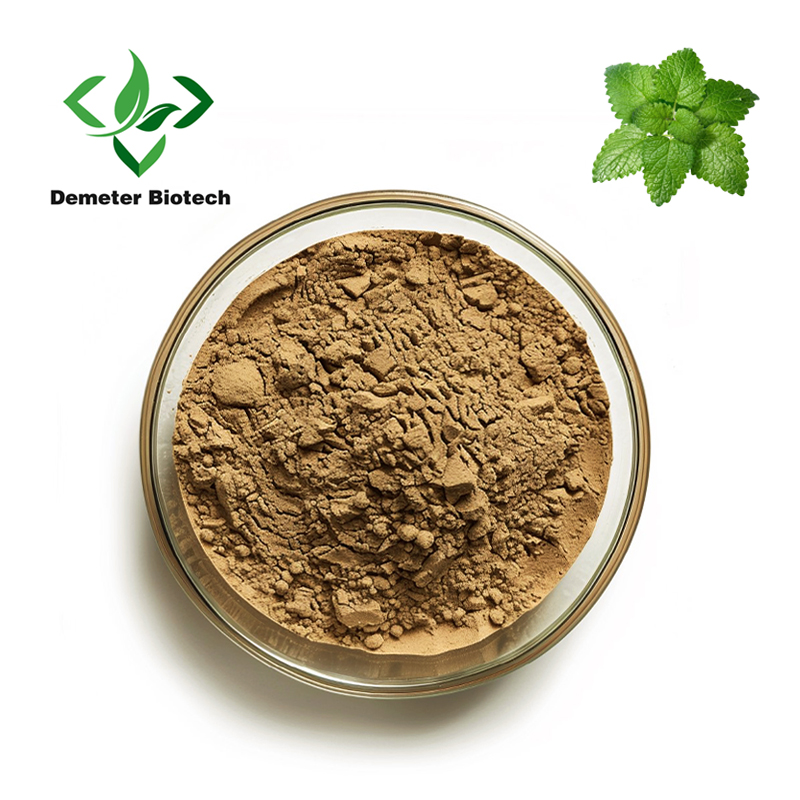 Premium Quality Lemon Balm Extract Powder at Affordable Prices