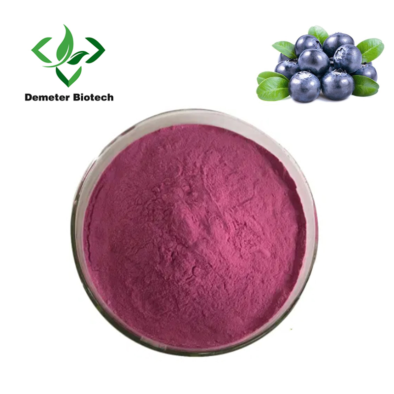 Wholesale Bulk Natural Organic Blueberry Fruit Powder