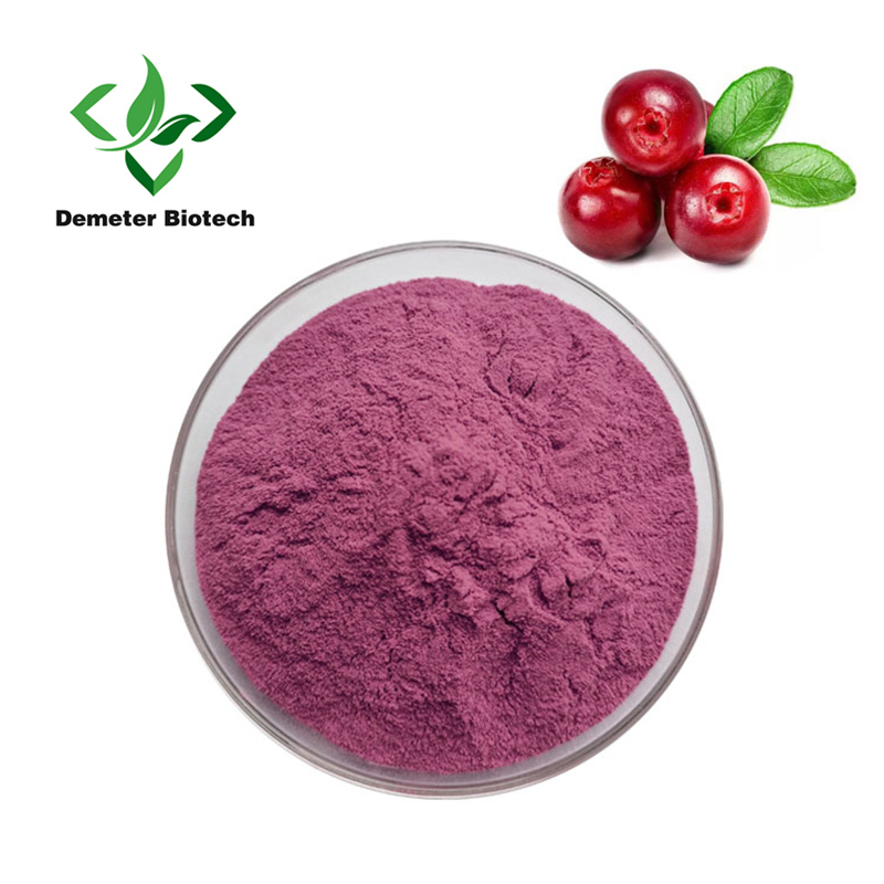 Wholesale Bulk Natural Cranberry Fruit Powder