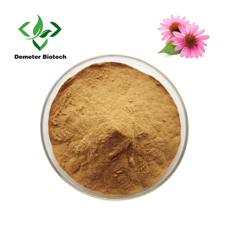 ઉચ્ચ ગુણવત્તાયુક્ત ફૂડ ગ્રેડ Echinacea Purpurea Extract Powder 4% Chicoric acid