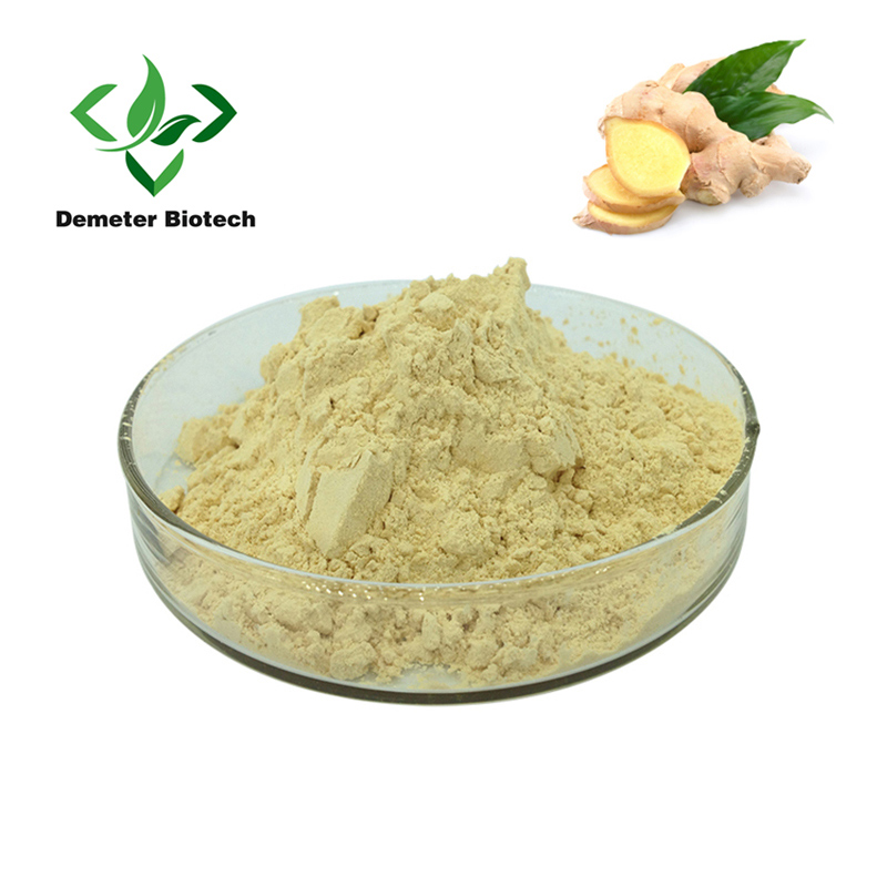 Natural Organic 5% Gingerols Ginger Extract Powder