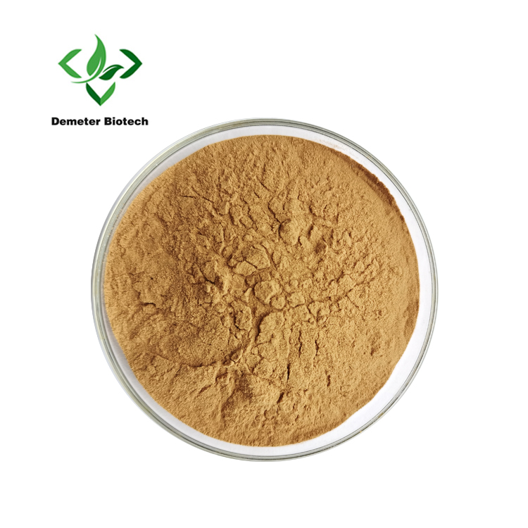 High Quality Loquat Leaf Extract Health Supplement