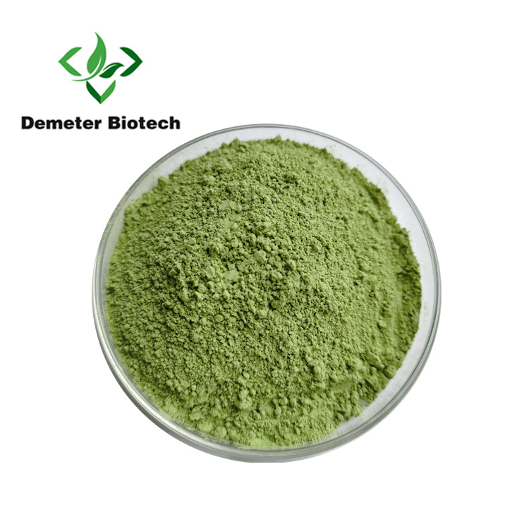 High quality Natural Herb Mentha Piperita Extract Powder Mint Leaf Powder