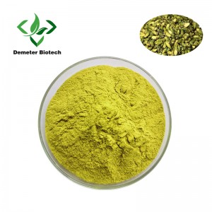 Natural Sophora Japonica Extract Powder 98% Que...