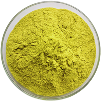 Natirèl-Sophora-Japonica-Ekstrè-Powder-98-Quercetin-1