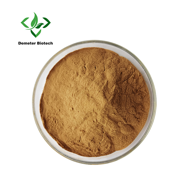 Premium Oat Extract Powder For Supply