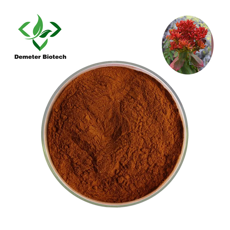 Prirodni ekstrakt Rhodiola Rosea u prahu Rosavin 3% salidroside 1%