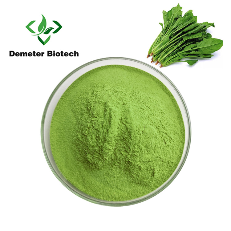 Wholesale Pure Natural Spinach Powder Spinach Juice Powder