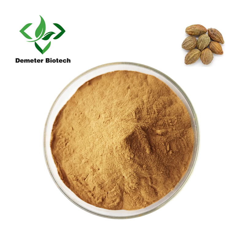 Premium Pure Terminalia Chebula Extract Powder for Health Food