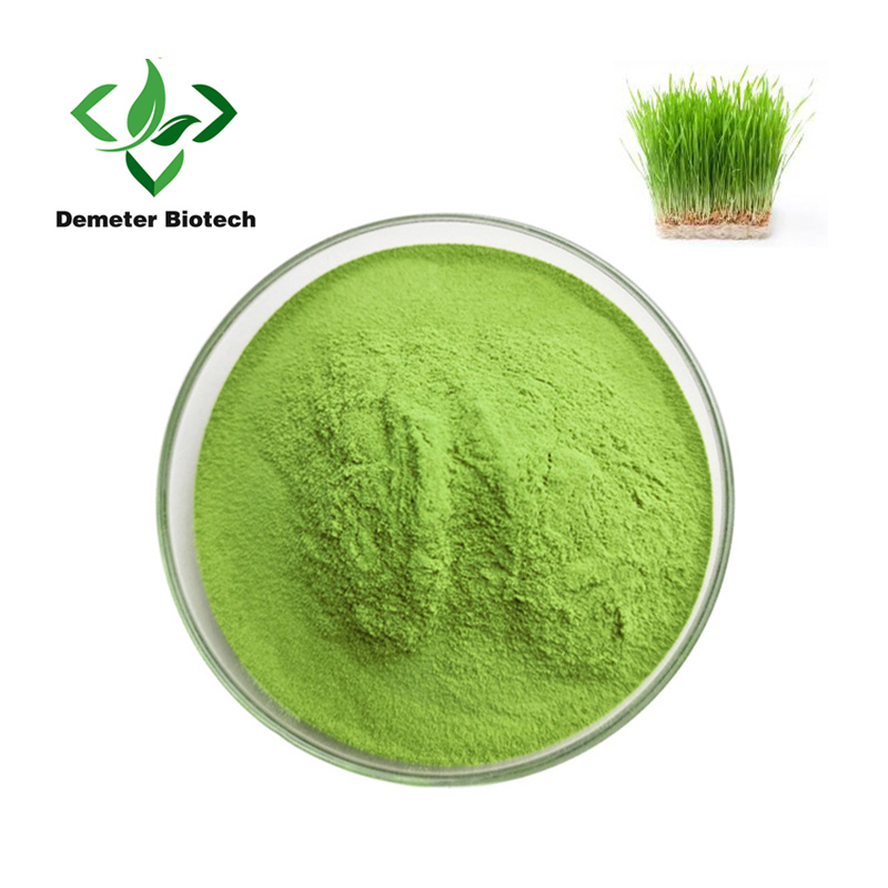 Zeleni organski sok od ječmene trave u prahu