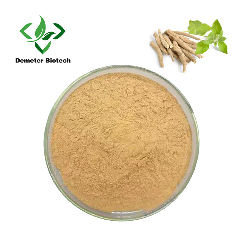 ქარხნული მიწოდება 3% 5% Withanolides Organic Ashwagandha Extract ფხვნილი
