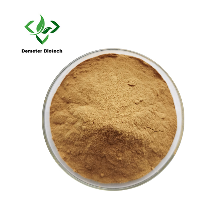 Supple Shiitake Fungorum Extract Pulvis 10%-50% Polysaccharide Pulvis