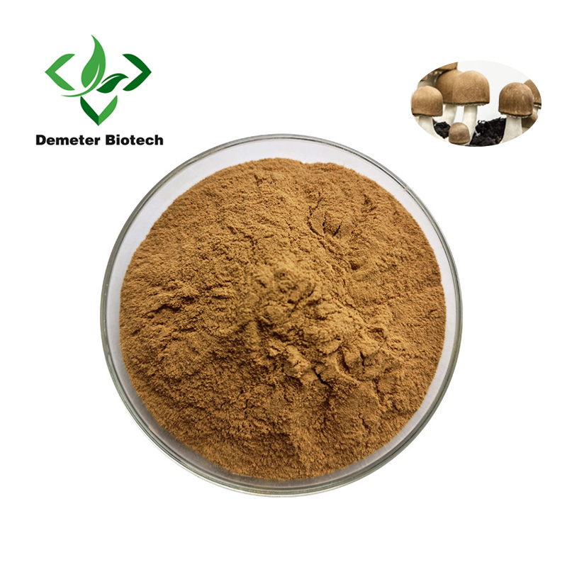အရည်အသွေးမြင့် Agaricus Blazei Extract Powder Polysaccharide 30%