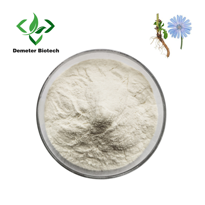 Natural Inulin Chicory Root Extract Powder