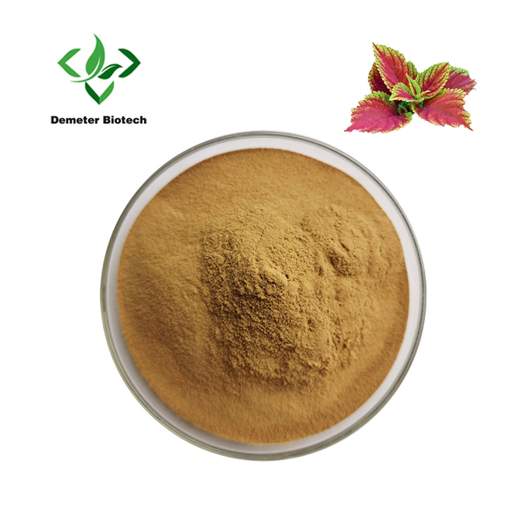 100% Natural Coleus Forskohlii Extract Powder Forskolin