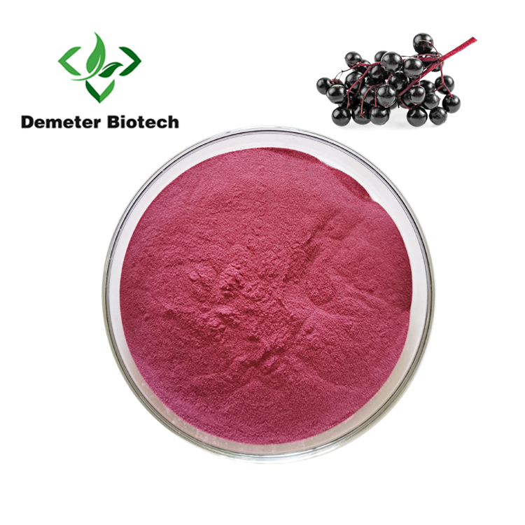 Factory Supply Low Price Organic 25% Anthocyanins Black Elderberry Extract Powder