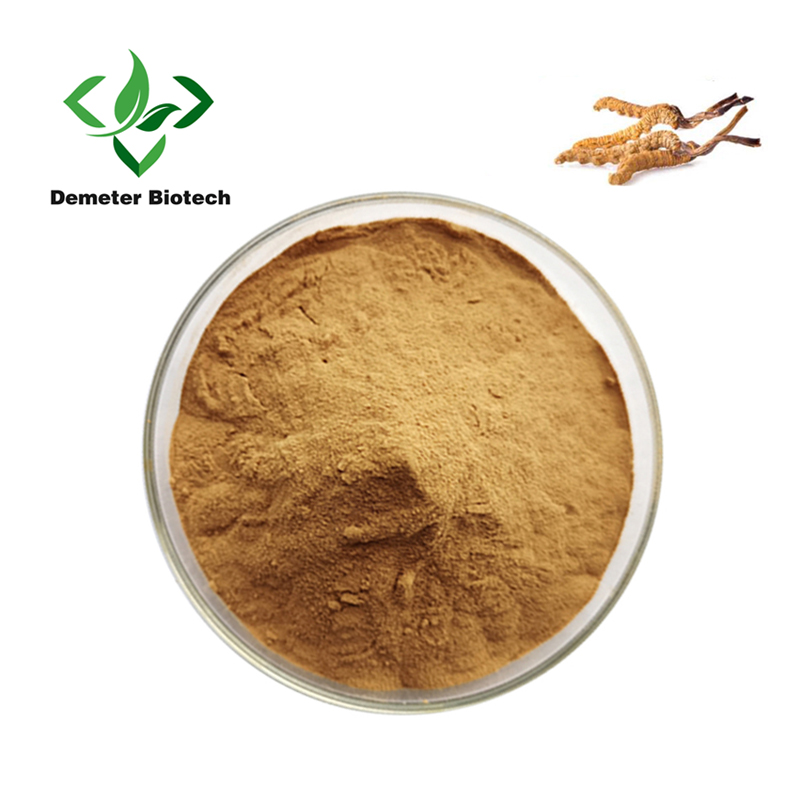 Factory Supply Cordyceps Extract Powder Polysaccharide 10% -50%