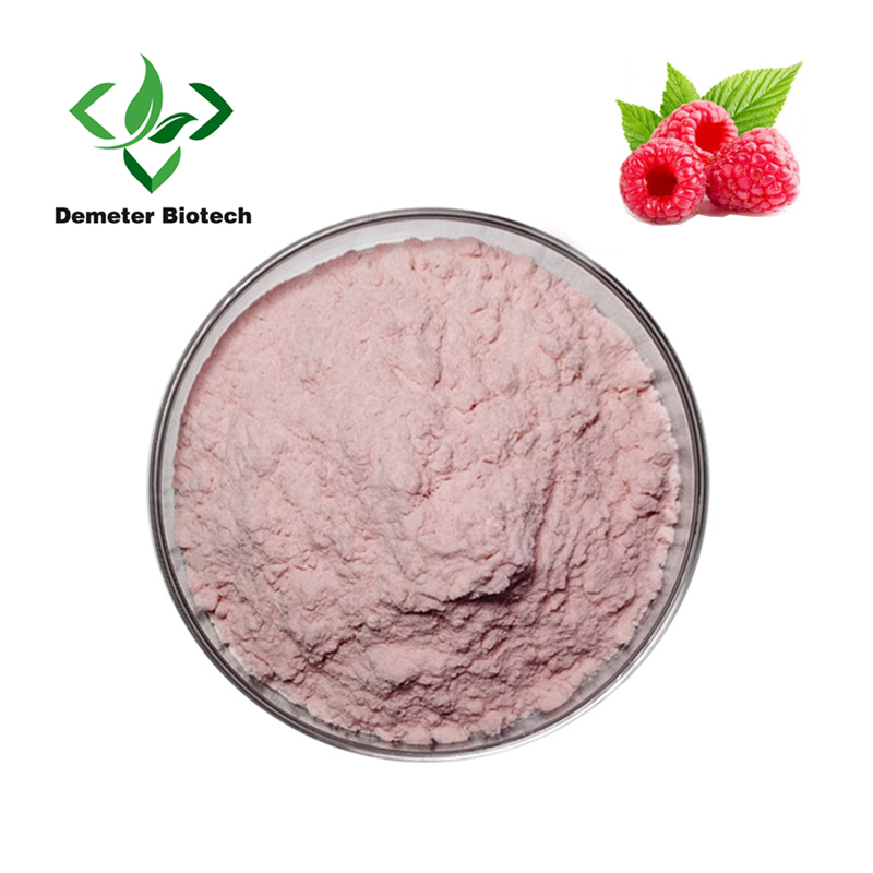 Wholesale Natural Extract Raspberry Fruit Juice Powder