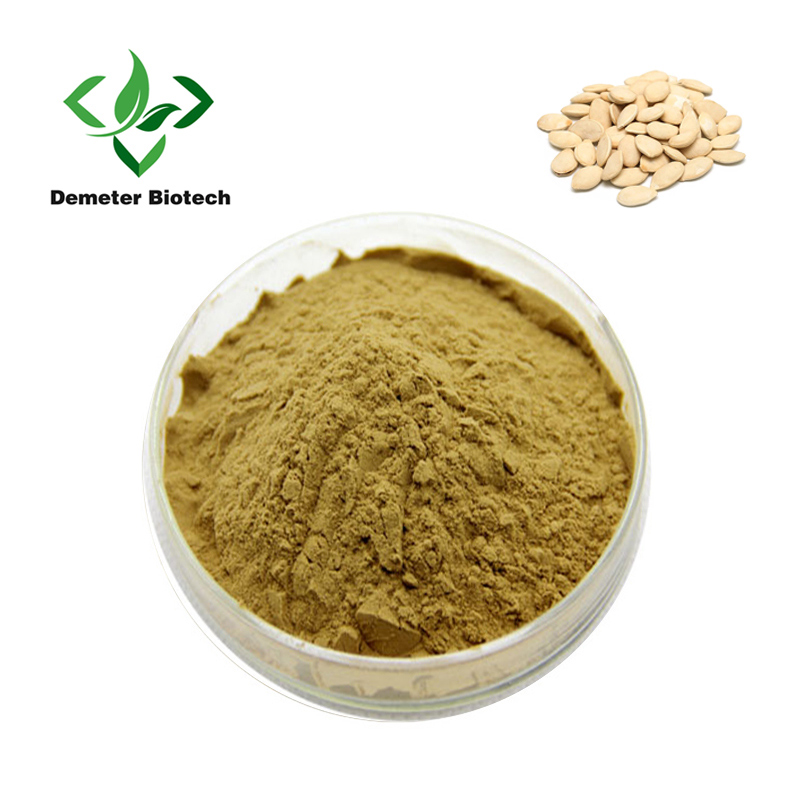 Wholesale Natural Pumpkin Seed Extract Powder