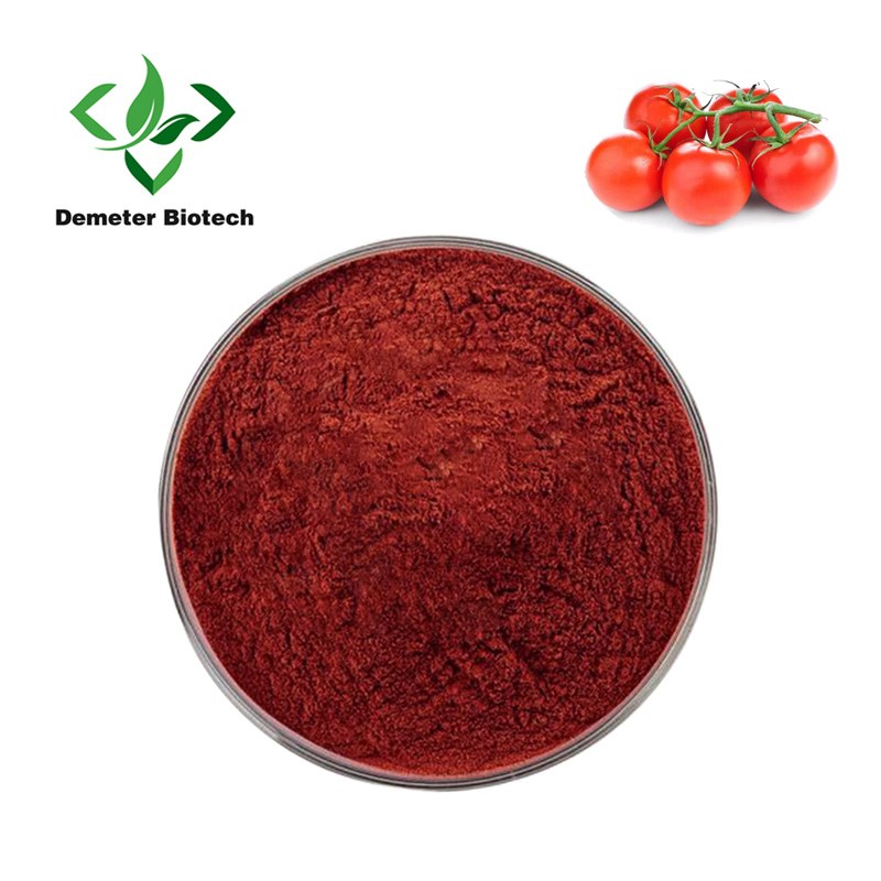 Natural Organic Tomato Juice Powder