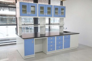 Laboratory Working Table Cabinet Fume Hood