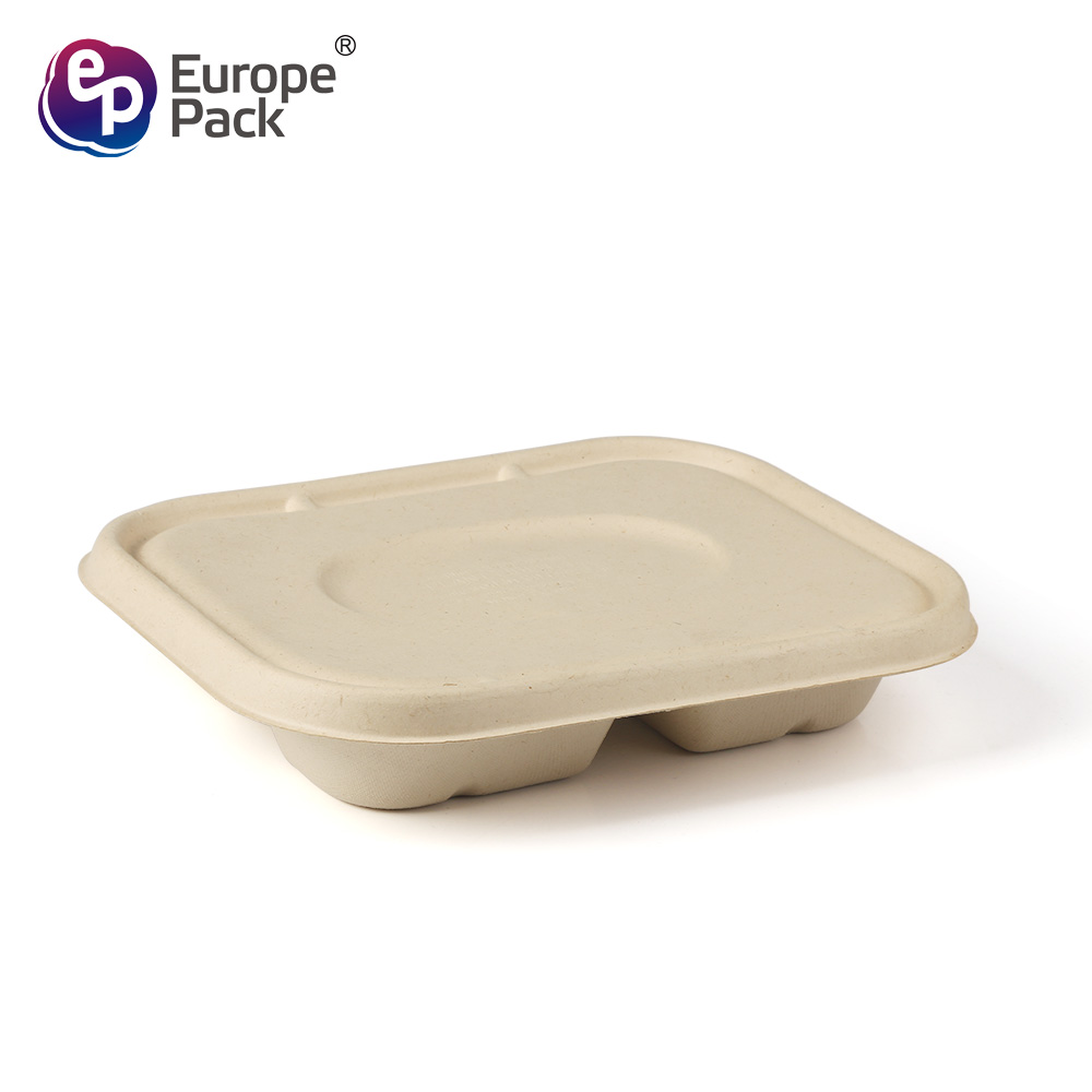 biodegradable tableware (1)
