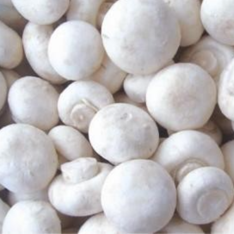 Detan Frozen Champignon Chinese Mushrooms Featured Image