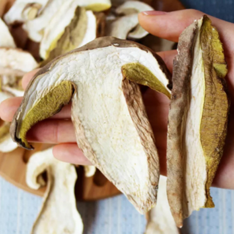 Detan Dried Sliced Boletus Wild Mushroom Prices