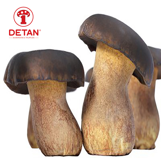 Sina eksportearje hege kwaliteit biologyske Farske Porcini Mushrooms Yunnan Wild Boletus Mushroom te keap
