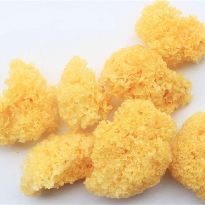 china ékspor kualitas luhur supa jamur salju garing