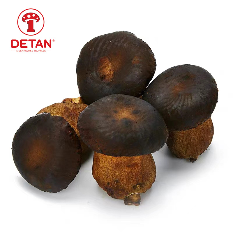 Ini-export ng China ang Boletus mushroom wild Fresh Porcini Mushrooms