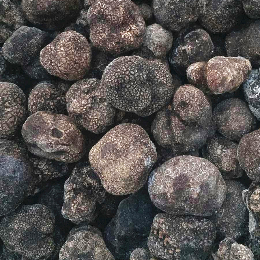 Detan Frozen Shanghai Black Truffle Jamur
