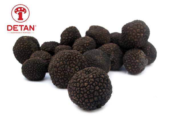 Ang DETAN ay nag-export ng mataas na kalidad na sariwa/frozen/dry truffle mushroom