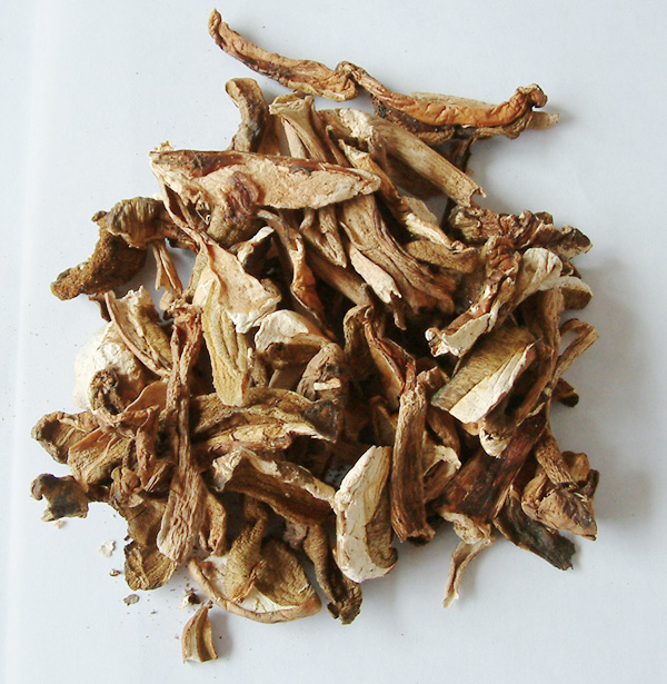 china export dried wild edible mushroom DETAN wild dried mushrooms porcini