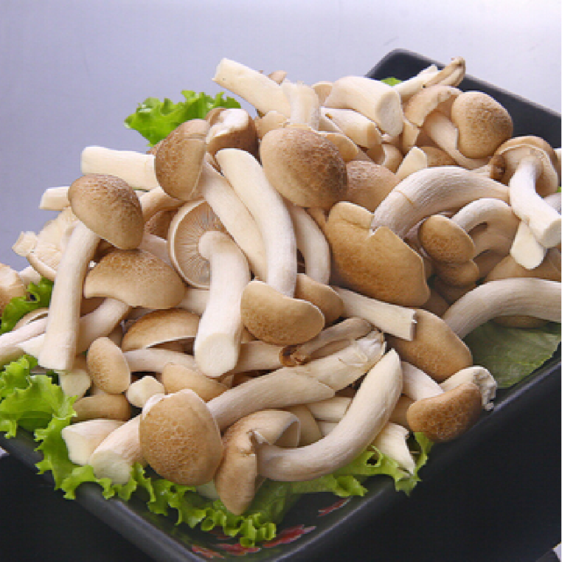 What Are Shimeji (Beech) Mushrooms and its nutrients