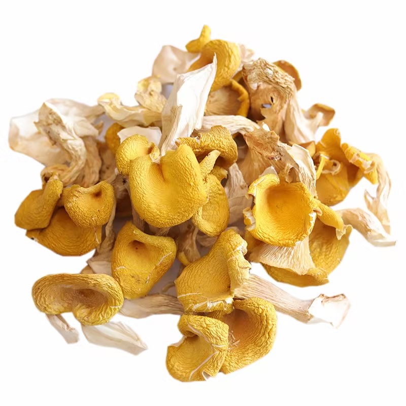 Ji You Jun Golden Yellow Dried Chanterelle Mushrooms For Sale