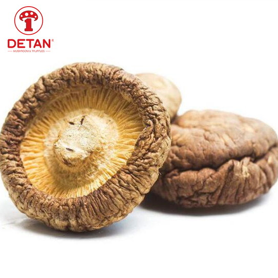 China DETAN export high quality dehydrated shiitake mushrooms