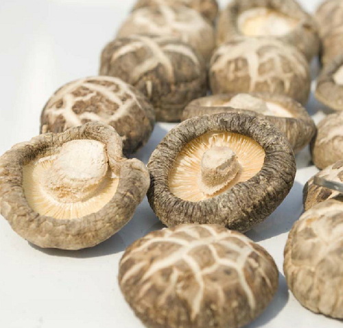 HOW TO COOK WITH DRIED SHIITAKE MUSHROOMS