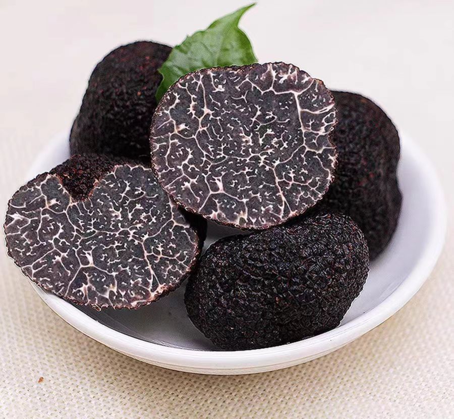 What Are Truffle Mushrooms?Answer here!