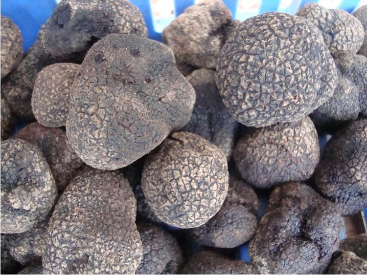 হিমায়িত শুকনো truffles পুষ্টি অনুপস্থিত হবে?